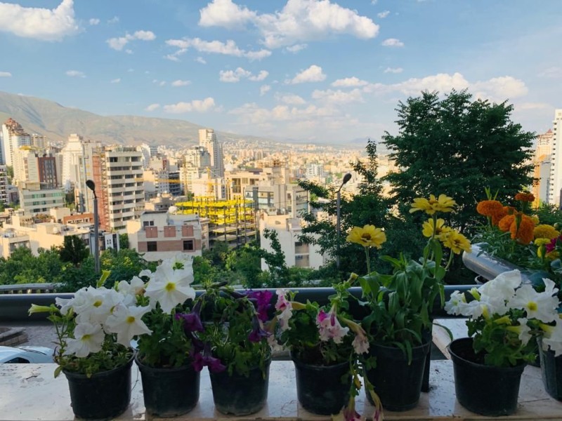 جردن گلستان ۱۸۶متر *اکازیون