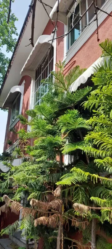 فروش 700متر زمین وویلاپلاک یک ساحل تنکابن ولی آباد