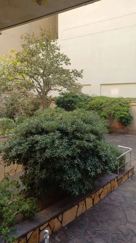 فروش153متر/3خواب/مناسب سرمایه گذاری