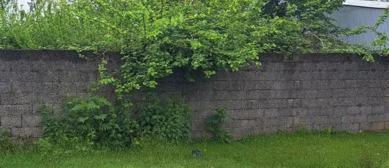 فروش زمین دیوار شده از گل10000متر