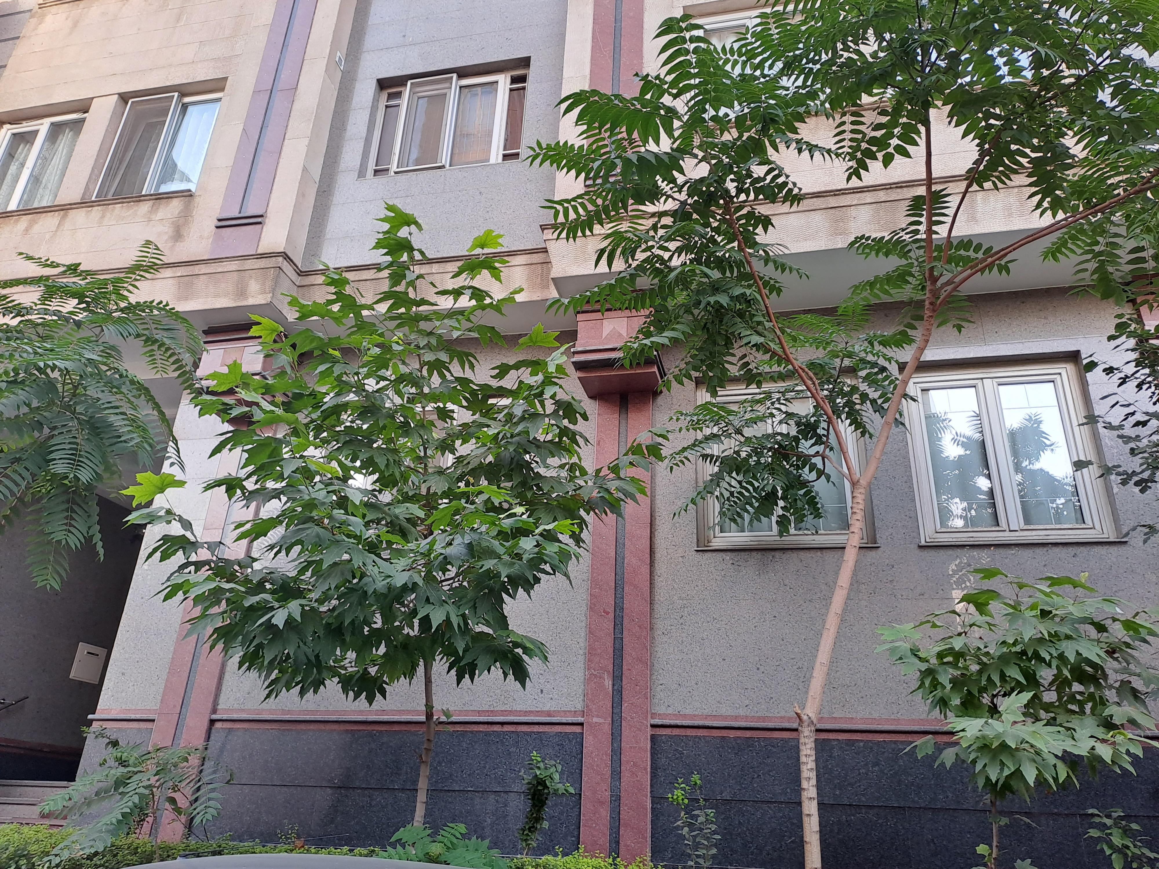 جردن ولیعصر ۷۰ متر ۱ خواب خوش نقشه