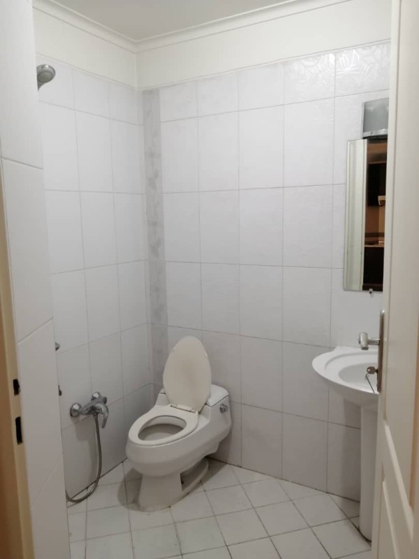 میرداماد نفت شیک