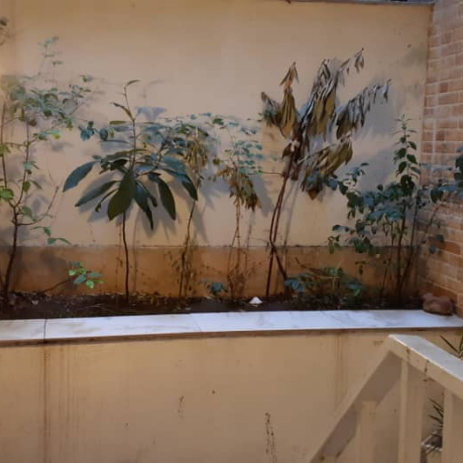 85متر 2خواب ولنجک خوش نقشه