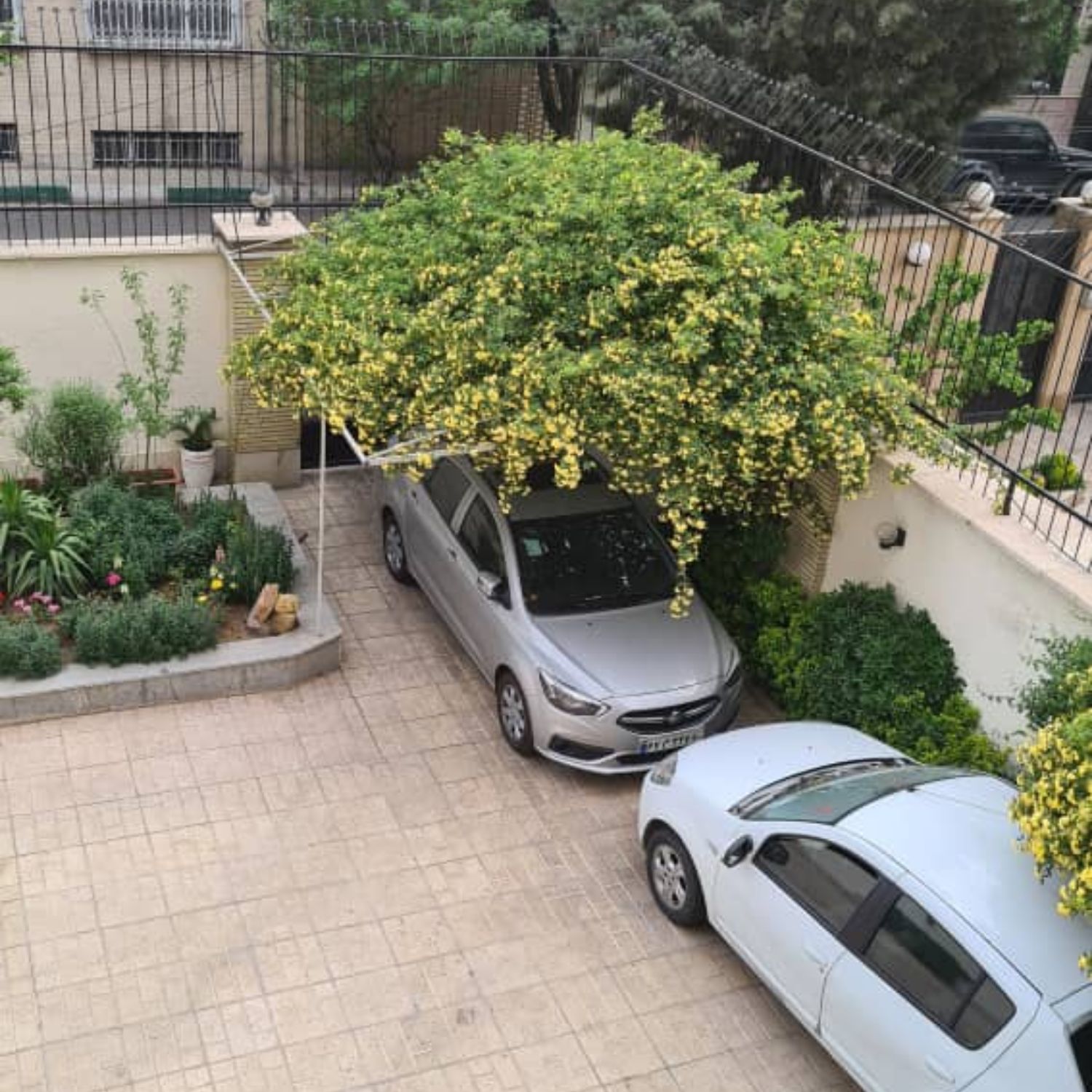 150متر 3خوابه ونک
