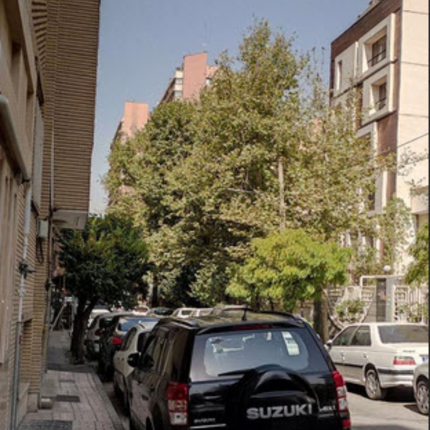 مستغلات 574 متری / ونک