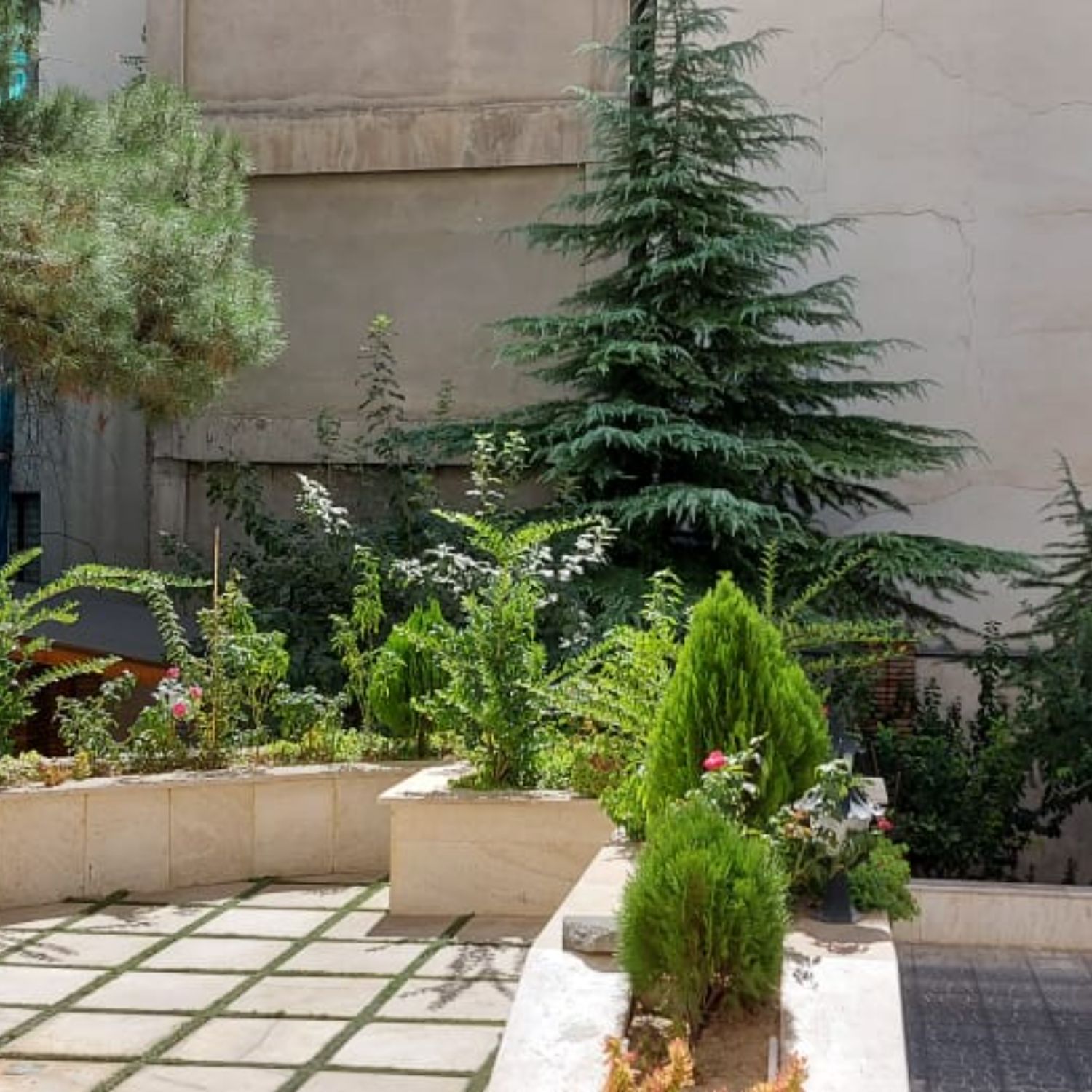 شمال جردن ۱۱۵متر رو به آفتاب لابی سلطنتی