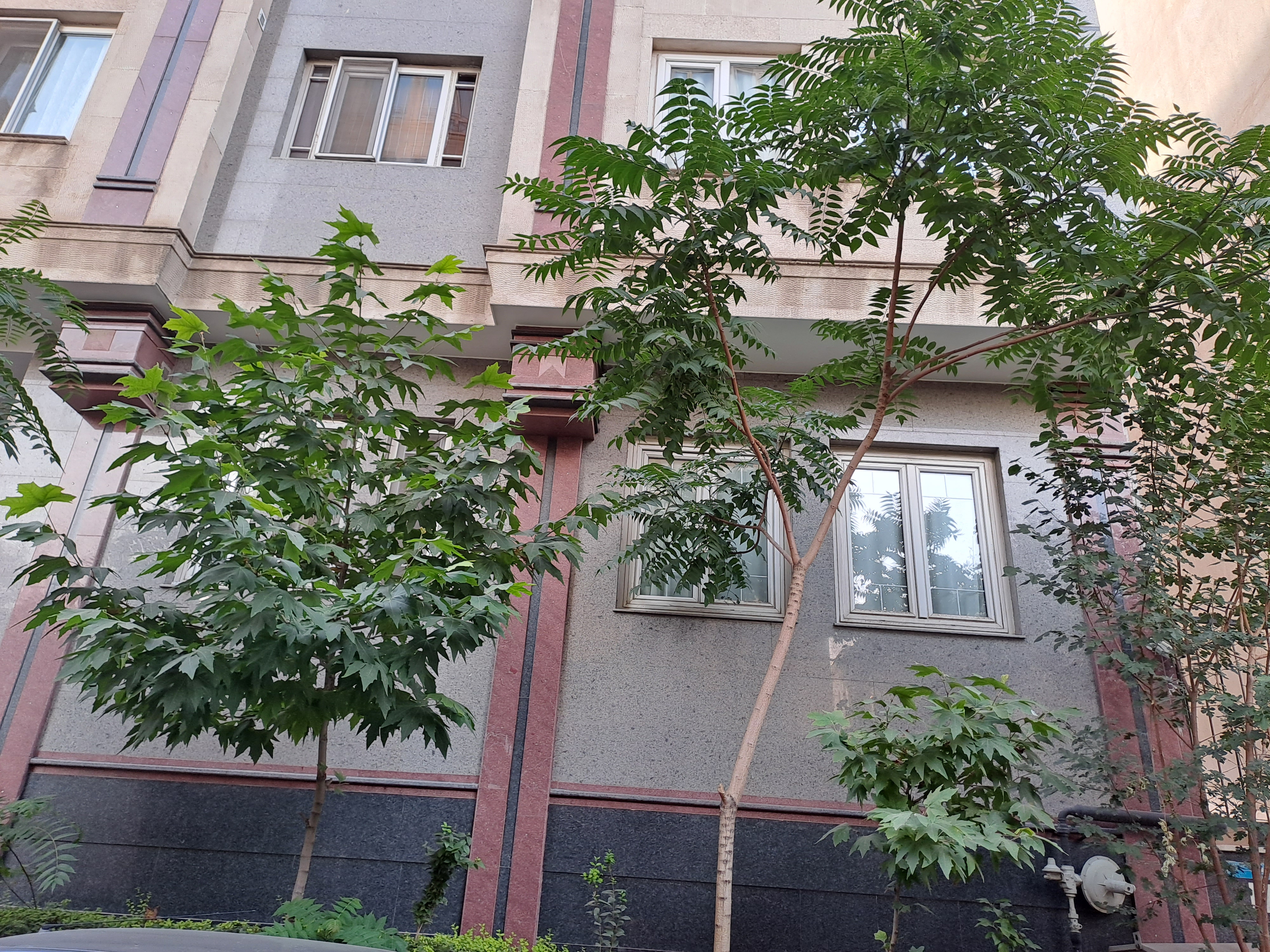جردن ولیعصر ۷۰ متر ۱ خواب خوش نقشه