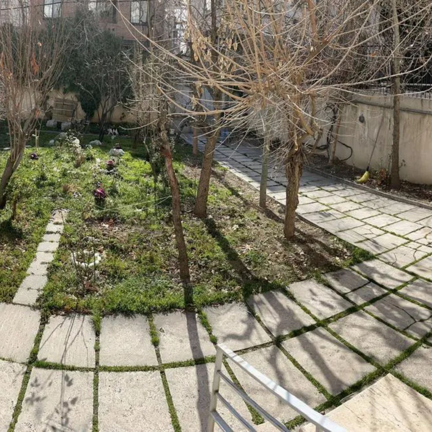 کلنگی 540 متری